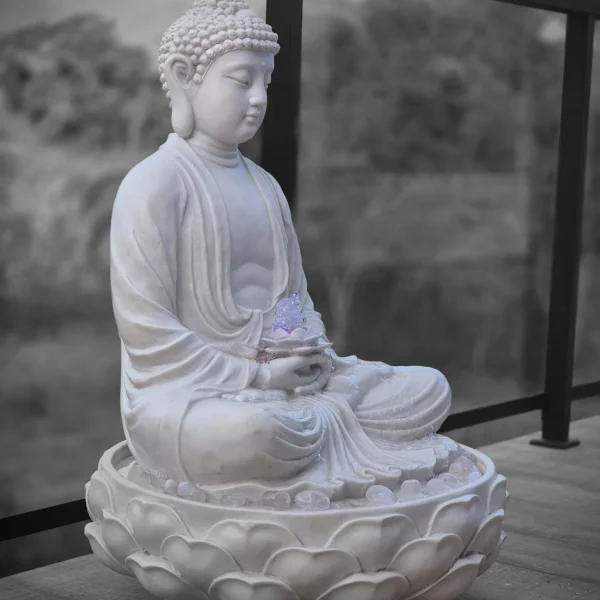 Budha